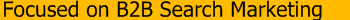Focused on B2B Search Engine Marketing